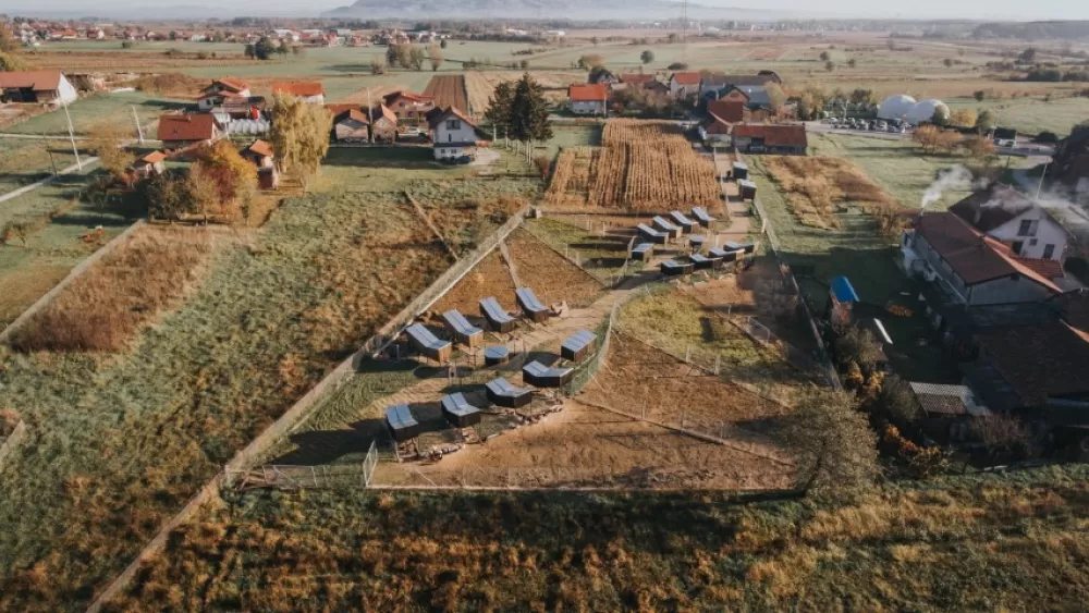 Kokošvaroš/Chickenville, farma 