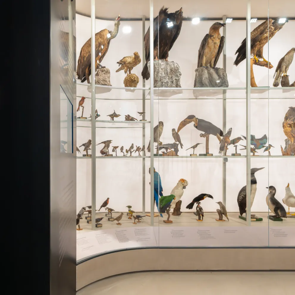 Hrvatski prirodoslovni sustav, Samsung klimatizacijski sustav