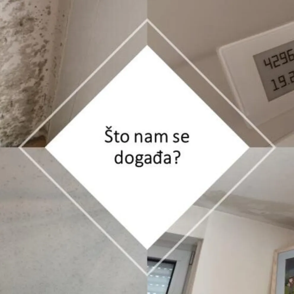 vlaga i plijesan u stanu
