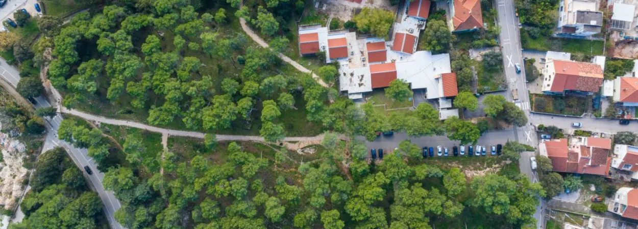 Vruljica
