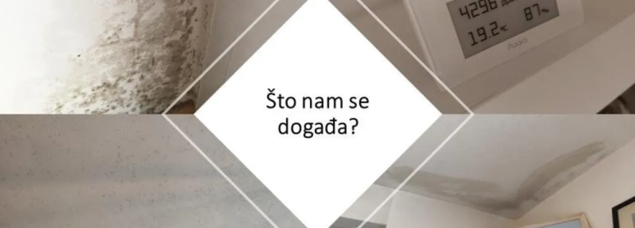 vlaga i plijesan u stanu