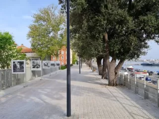 Šetnica Bedema zadarskih pobuna
