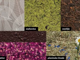 Organoid površina