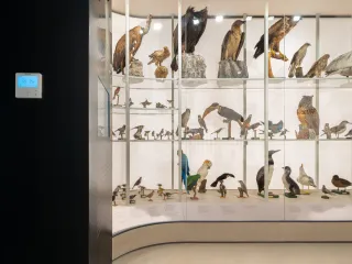 Hrvatski prirodoslovni sustav, Samsung klimatizacijski sustav