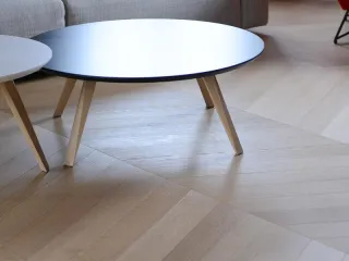 PPS Galeković chevron parket