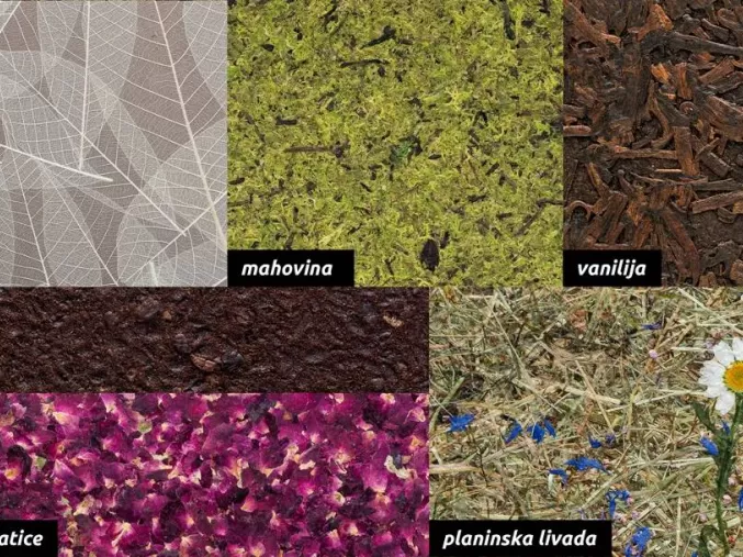 Organoid površina
