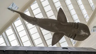 Hrvatski prirodoslovni muzej, Zagreb