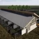 Farma svinja