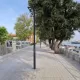 Drvored uz šetnicu