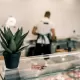 Sergio meat store