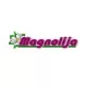 Magnolija Bazeni