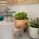 Moj Balkon