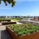 Krajobrazno uređenje šetališta na zadarskim bedemima