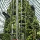 Gardens by the Bay