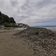 Prikup morske trave, lažine na Bačvicama