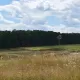 Malo jezero u ekoselu Galgafarm u Mađarskoj, u koje dolaze pročišćene otpadne vode iz kuća. U jezeru se može plivati, a u njemu žive i ribe.