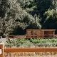 Maslina Resort