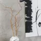 interijer