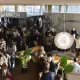 Kera Term live cooking show, Dani Orisa