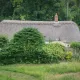 Dorset